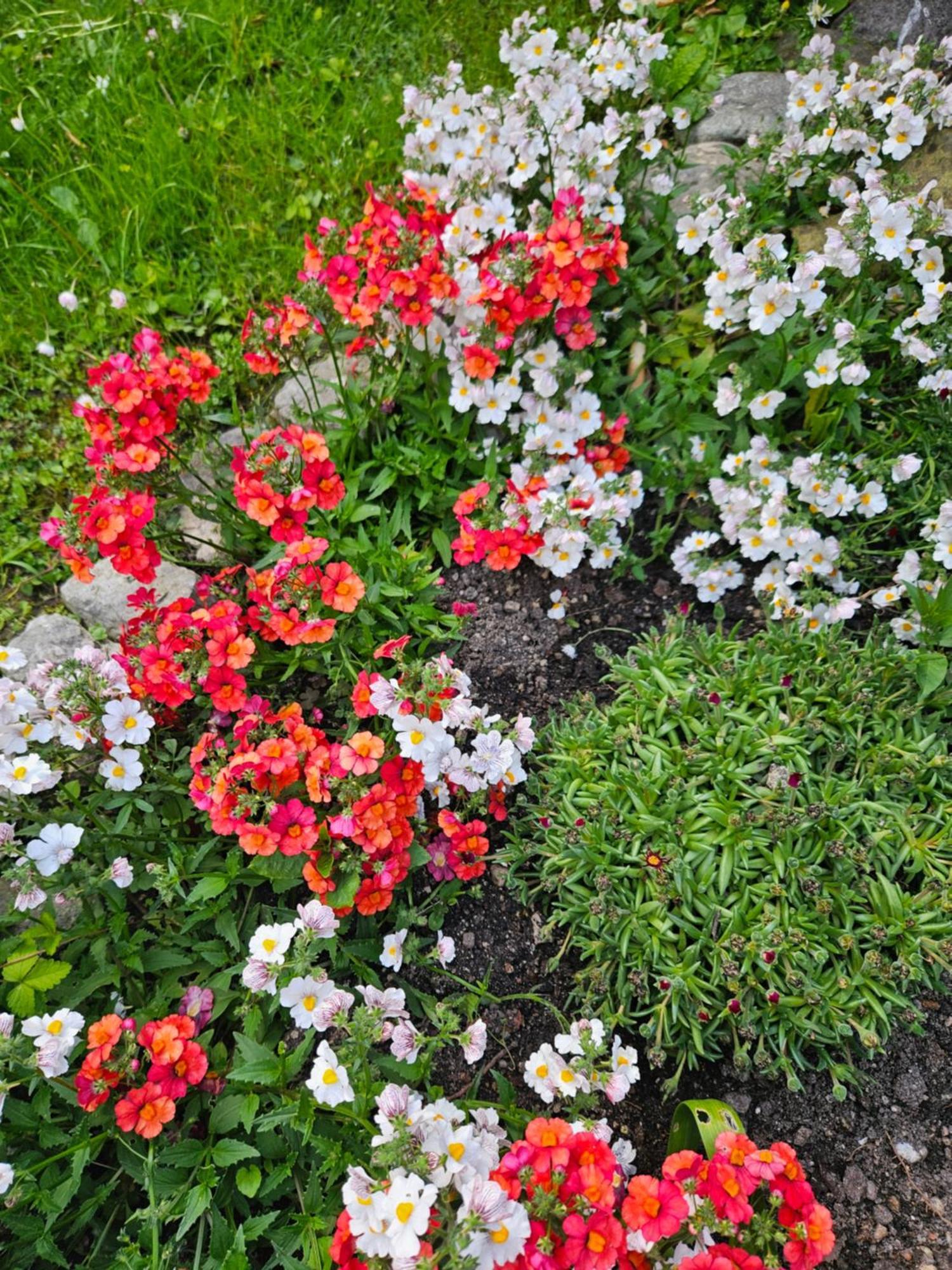 Gardainn Giardino 38A Riva del Garda Exterior foto